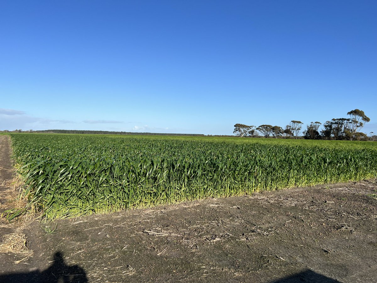 Carbon Ag Tech tweet media