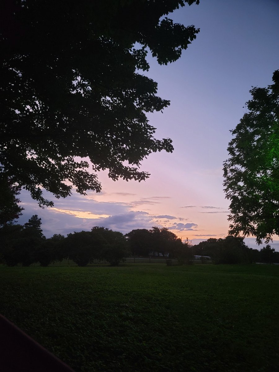 ivdrop's tweet image. summer night in the hammock