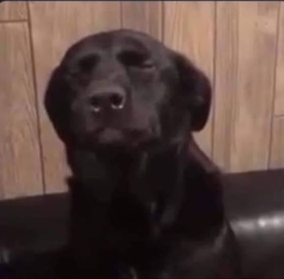 EderAleSL's tweet image. Hola Dios, soy yo de nuevo
Quiero que mis amigos de @incubus_club vayan a P/R de la #LLA solo te pido eso por favor :')
#GoINC #GoPerú #RegionalSur #LVPPerú en la casa 😎✌️