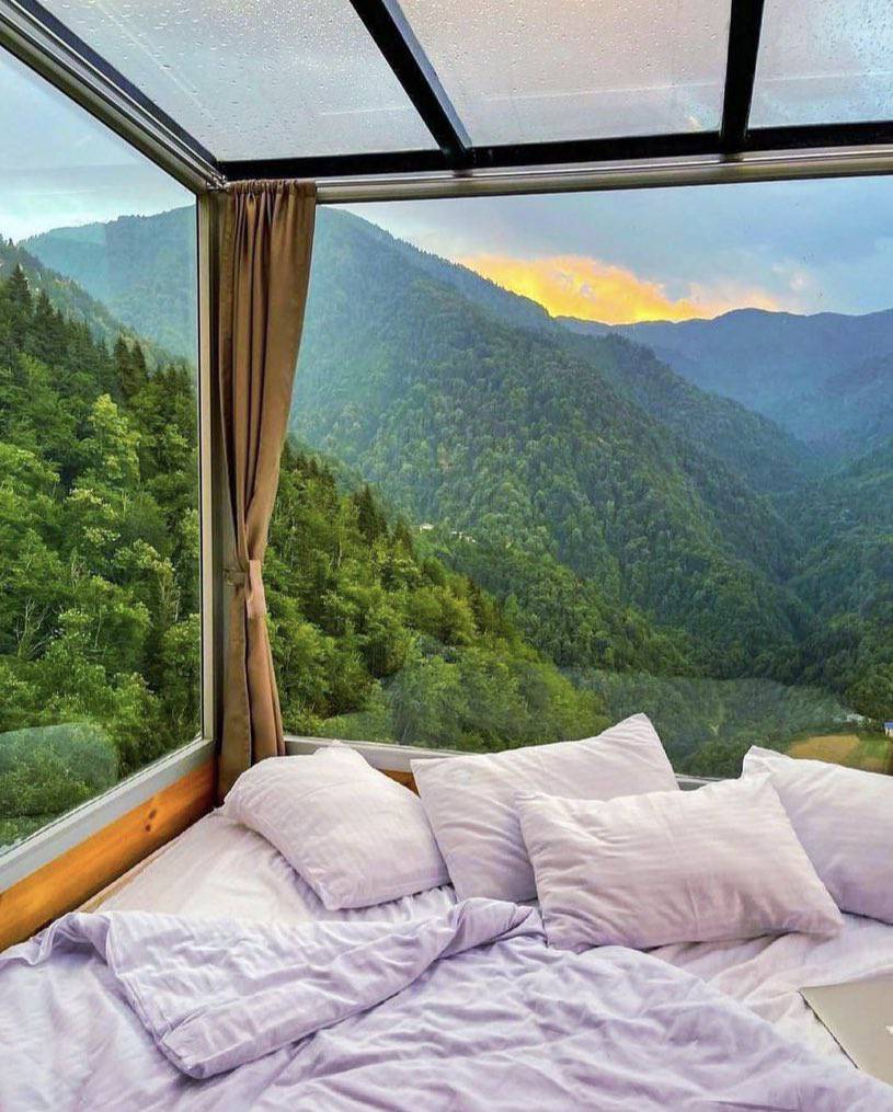 ♡NATURALEZA (@knownmeno) on Twitter photo 