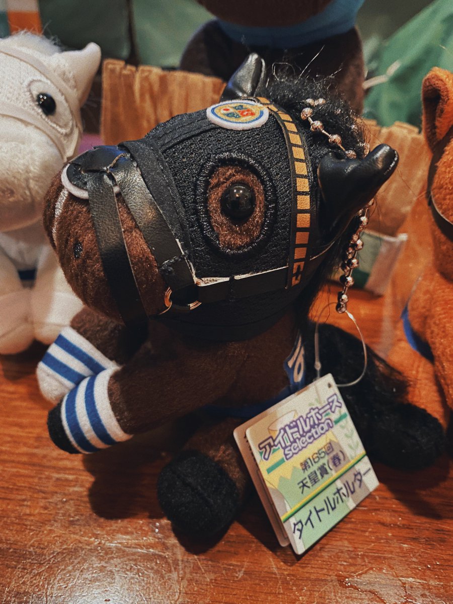 競馬 JRA アイドルホース ミニコレクション カプコレ G3 その2