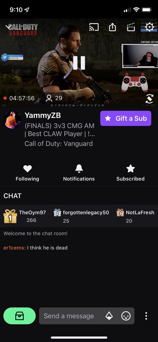 viminalcod's tweet image. Click on this clowns stream and this is what I see @YammyZB 😭
