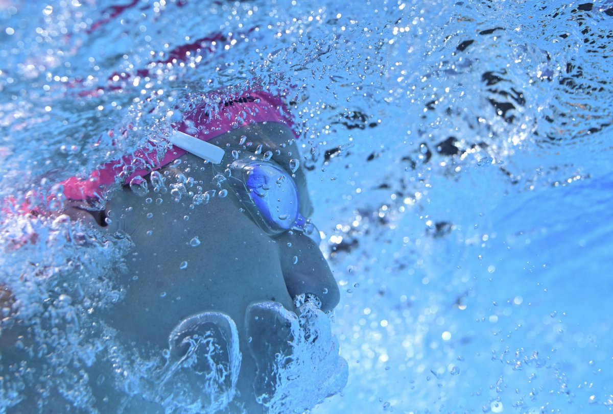 World Triathlon tweet media