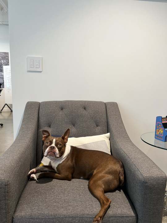 BrandDefinition's tweet photo. For anyone having a RUFF week, we want to share some photos from a day in the life of our hardworking office pup, Brewster O’Connell.
Please comment below any projects you’ll be needing Brewster’s assistance on!
#BrandDefiniton #EdgeTakesShape #PRAgency #SocialMedia #Marketing https://t.co/8M7Mmhltqm