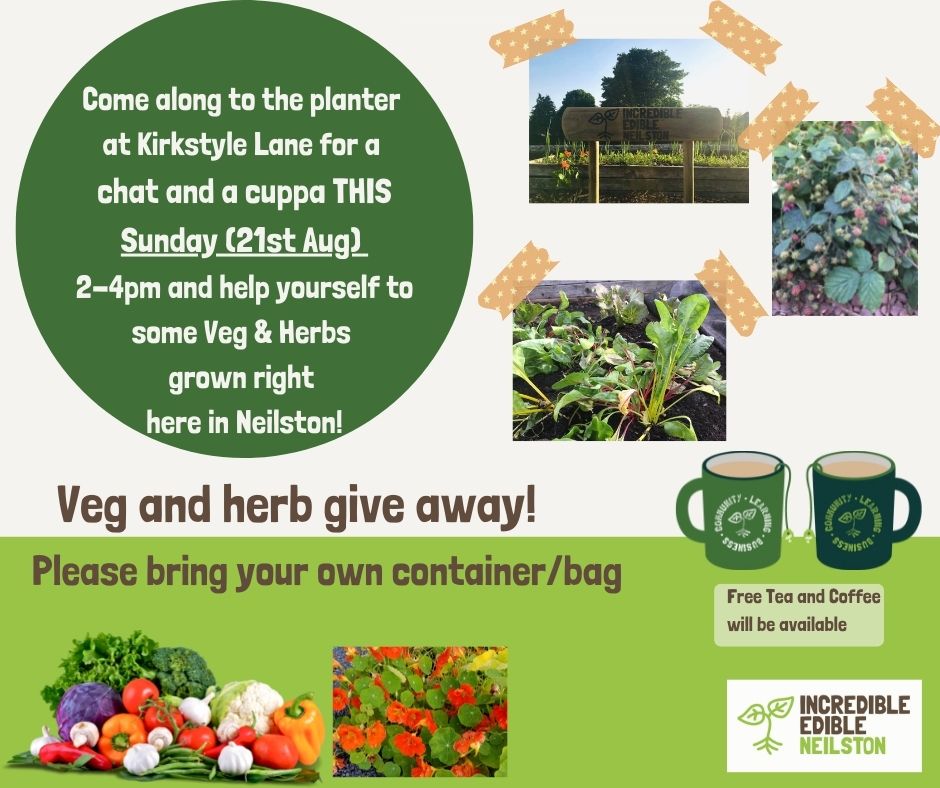 This Sunday 2-4pm at the Planter