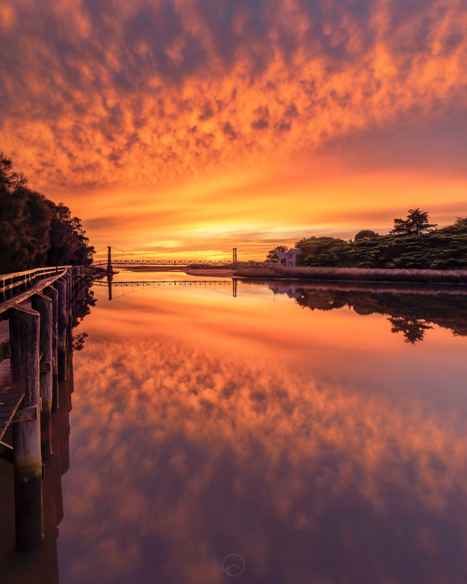 Sunrise yesterday on the Great Ocean Road.
On my way to the waterfalls in the Otways I spotted the sky starting to glow. I quickly got to this spot in Lorne to watch it light up 😍 #PhotoOfTheDay #sunrise #Australia