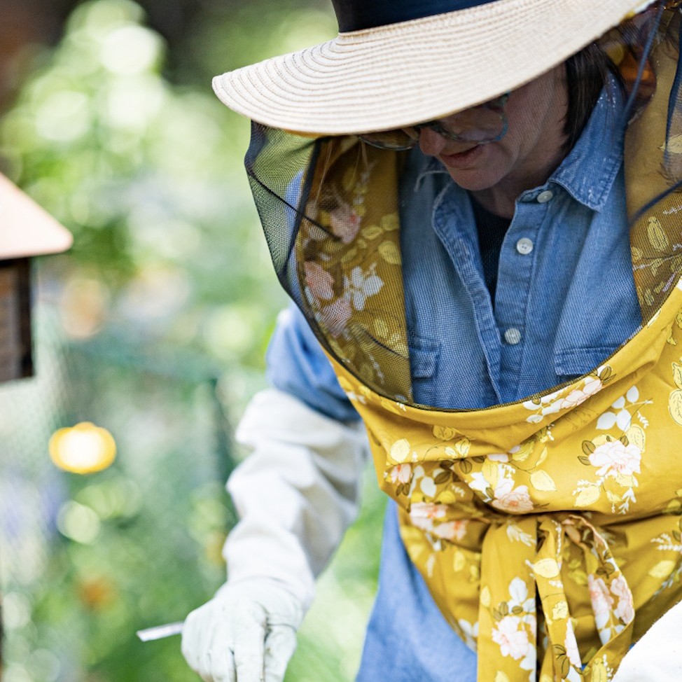 beebuiltsupply's tweet photo. How did you first get into beekeeping? For our Chief Beekeeper, Mandy, it was a mix of happenstance and serendipity. Tell us your beekeeping origin story in the comments!
#beebuilt #beekeeping https://t.co/O7PwqHKEJP