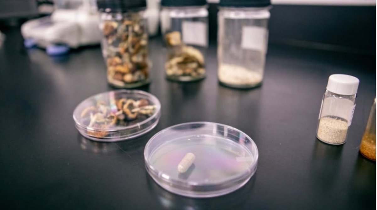 Toronto's Centre for Addiction and Mental Health (CAMH) says it has received the first-ever federal grant to study whether the active component in 'magic' mushrooms can be used to treat depression without the psychedelic effects.

LinkedIn.com/company/havnli…