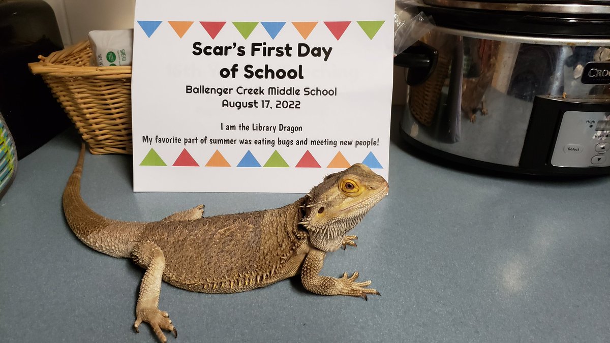 Happy First Day Everyone!