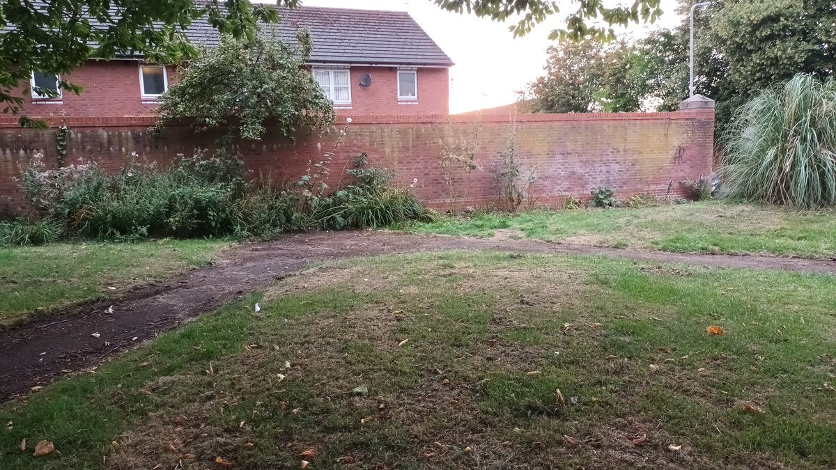 90 mins work helping <a href="/Richard8266/">Richard Byrne</a> on The Globe Green, ParkRd L8. 4 LCV's cut back the weeds, plus litter and path cleaning. Its starting to take shape now. Looking forward to helping out again on 3rd Sept <a href="/lpool_LSSL/">Liverpool Streetscene Services Ltd</a> <a href="/TheFlorrie/">The Florrie</a> all help welcome 🌎