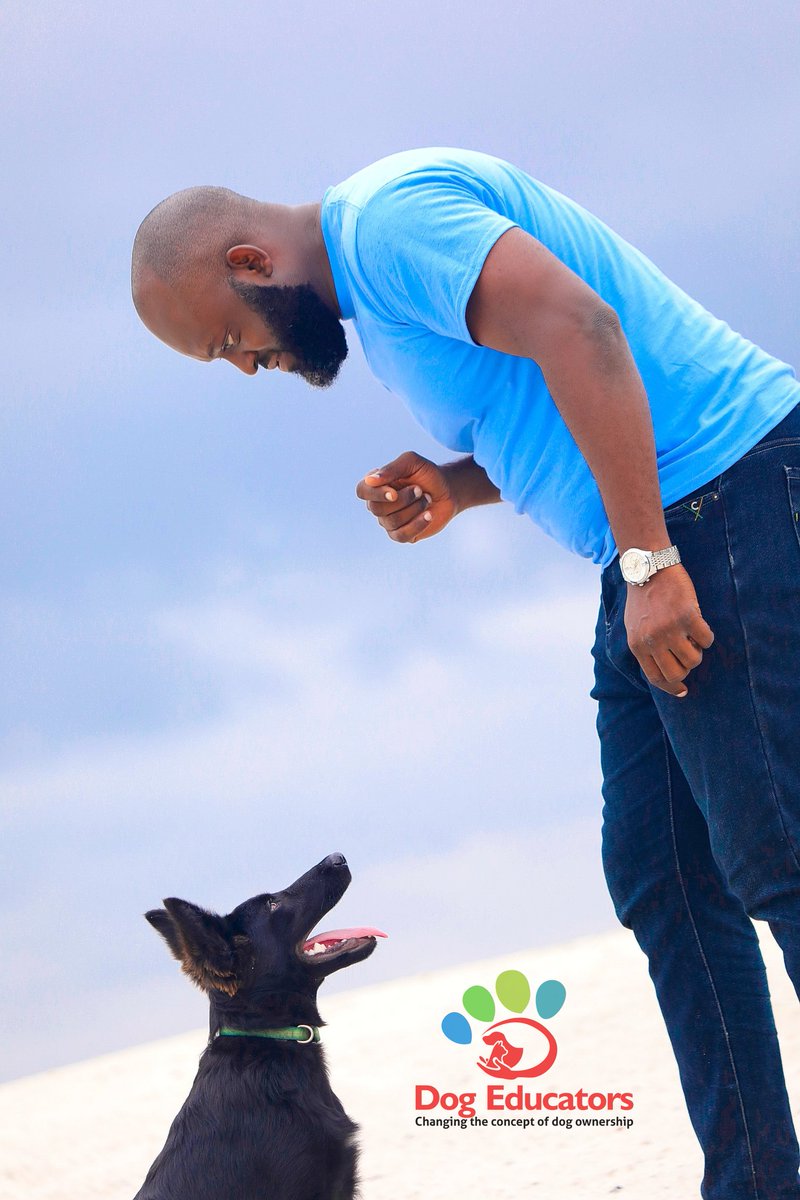 DogEducators's tweet image. Blacky @ 5 months

#DogsofTwittter