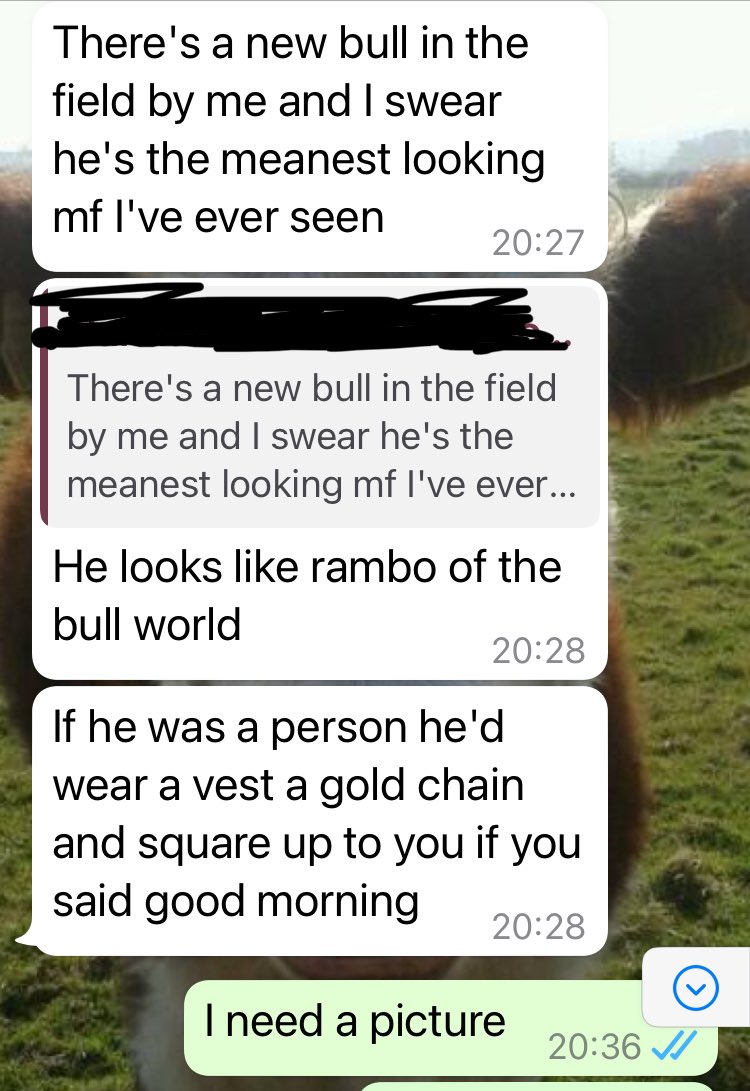 oliviaedson's tweet photo. Having a #citygirl pal is always entertaining. ๐คญ #beefgb #teambeef #kernow https://t.co/njiB9OPqUS