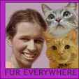 CatWriters's tweet photo. Today is Black Cat Appreciation Day!! Founded to help the cats left in shelters the longest - read about the Good Things Black Cats represent and change negatives to positives. #BlackCatAppreciationDay #blackcatsrule #CatBlogosphere https://t.co/nKm7gZHIEx https://t.co/Mjw8Pg6mpu