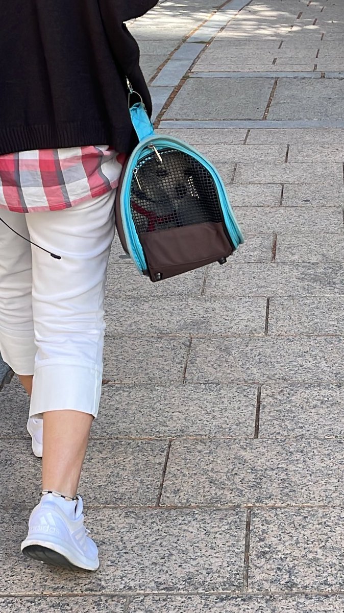 Lo han echado ☹️😪