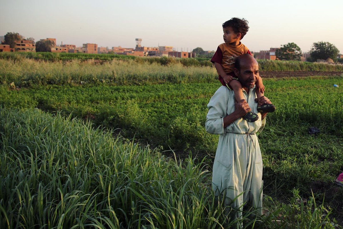 Rogeranis's tweet photo. جزيرة الوراق - ٢٠١٦
Warraq Island - 2016
An island of approximately 30,000 inhabitant in the middle of the Nile in Cairo, facing uncertain future due to government development plans.
#warraq #cairo #egypt #nile #water #fromthearchives https://t.co/zIhwZCQzFM