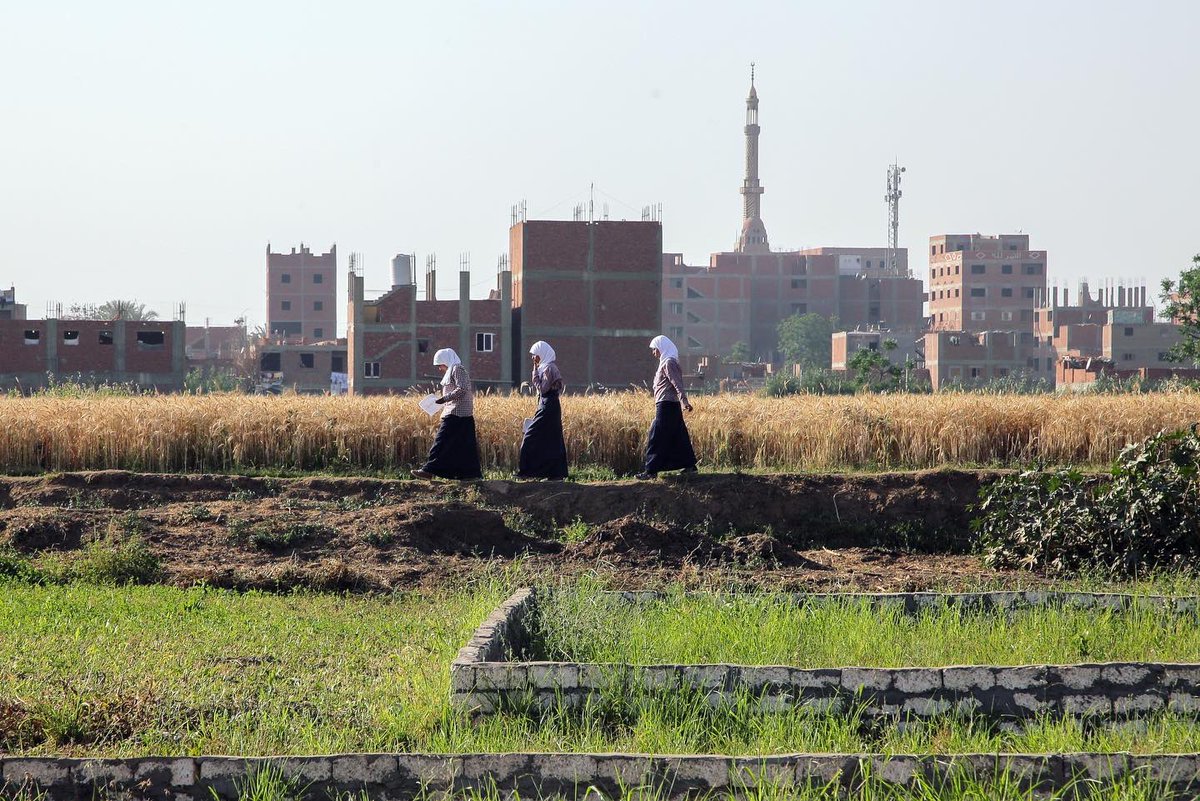 Rogeranis's tweet photo. جزيرة الوراق - ٢٠١٦
Warraq Island - 2016
An island of approximately 30,000 inhabitant in the middle of the Nile in Cairo, facing uncertain future due to government development plans.
#warraq #cairo #egypt #nile #water #fromthearchives https://t.co/zIhwZCQzFM