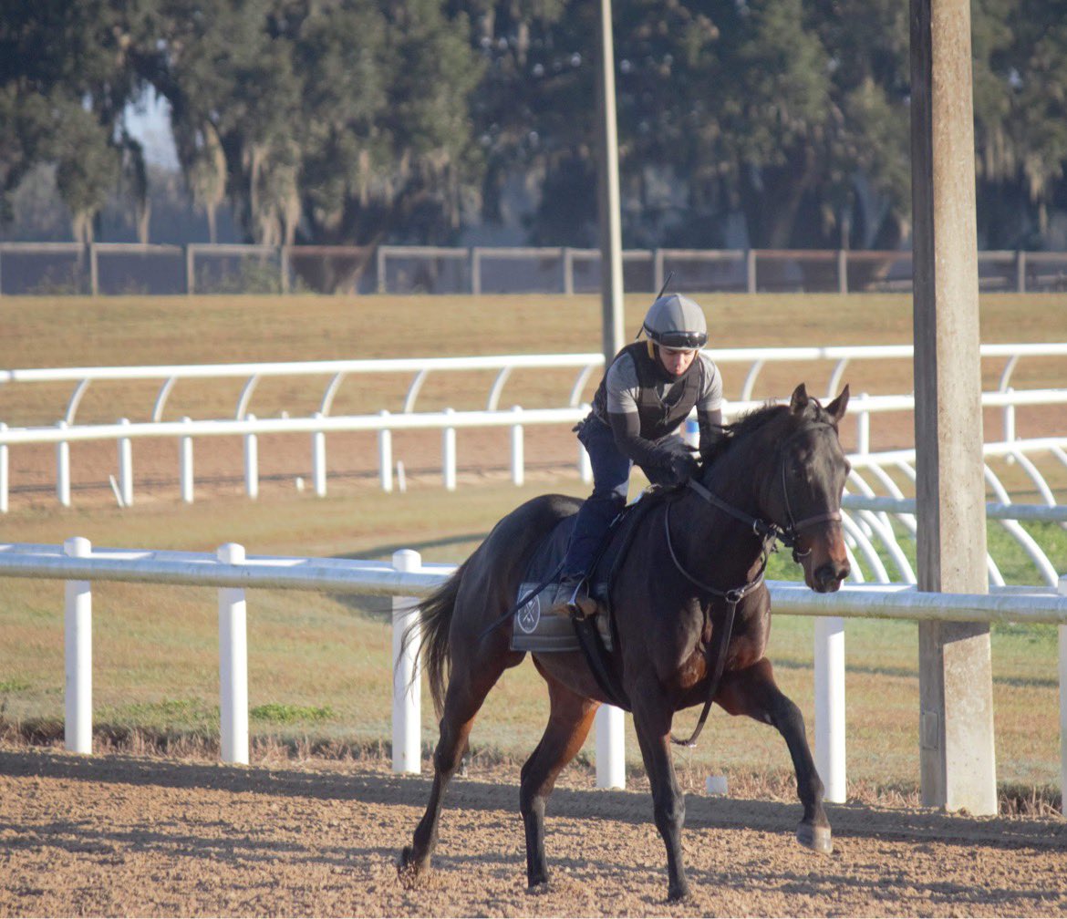 V_Thoroughbreds's tweet photo. Great 2 days of racing @ColonialRosies for @Stidhamracing and owner Darrs Inc. Our 2022 Winter Training grads Scanno and Kingpin both won impressively! https://t.co/efikmVgDJO