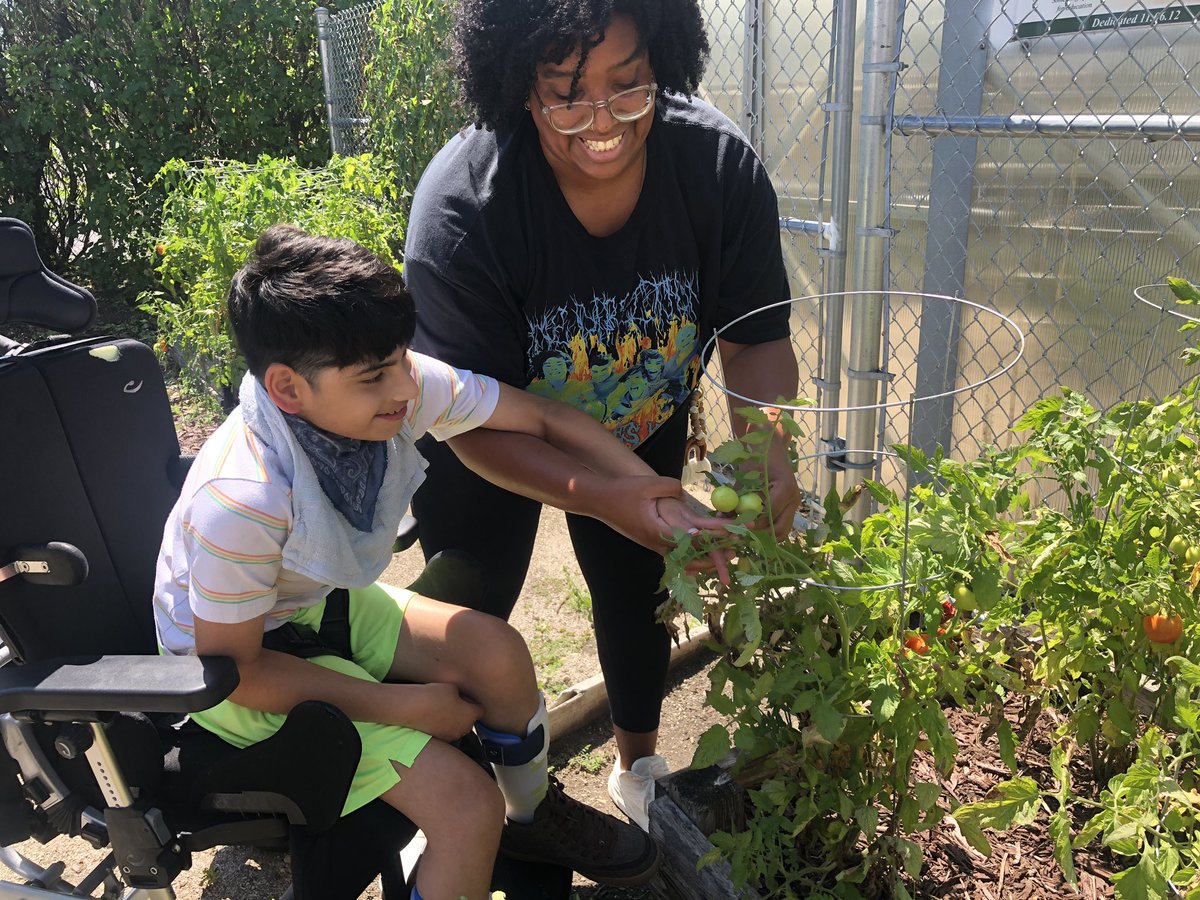 ms_schafferMS's tweet photo. Enjoying the fruits of our labor!!! 🍅🍅🍅

We planted vegetables in the @MinerSchool garden during science last spring, and now we are seeing the results!!! Tomatoes, potatoes, peppers and even pumpkins!!! #WeAreNSSEO https://t.co/K9DH4SDdGb