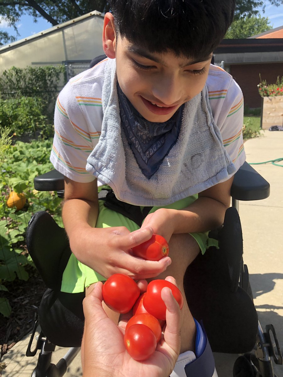 Enjoying the fruits of our labor!!! 🍅🍅🍅

We planted vegetables in the <a href="/MinerSchool/">Miner School</a> garden during science last spring, and now we are seeing the results!!! Tomatoes, potatoes, peppers and even pumpkins!!! #WeAreNSSEO