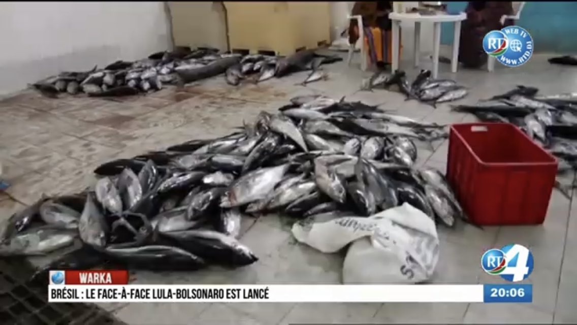 Samataroy's tweet photo. #Djibouti
It’s essential for fish 🐠🐟 to be quickly & permanently frozen almost from the time of being caught🎣 to the time it is purchased by the consumer. But due to corruption & looting of all equipment such as #BlastFreezers, #MegaColdStores…our fish end up on the floor⬇️ https://t.co/DQqbmujtSZ