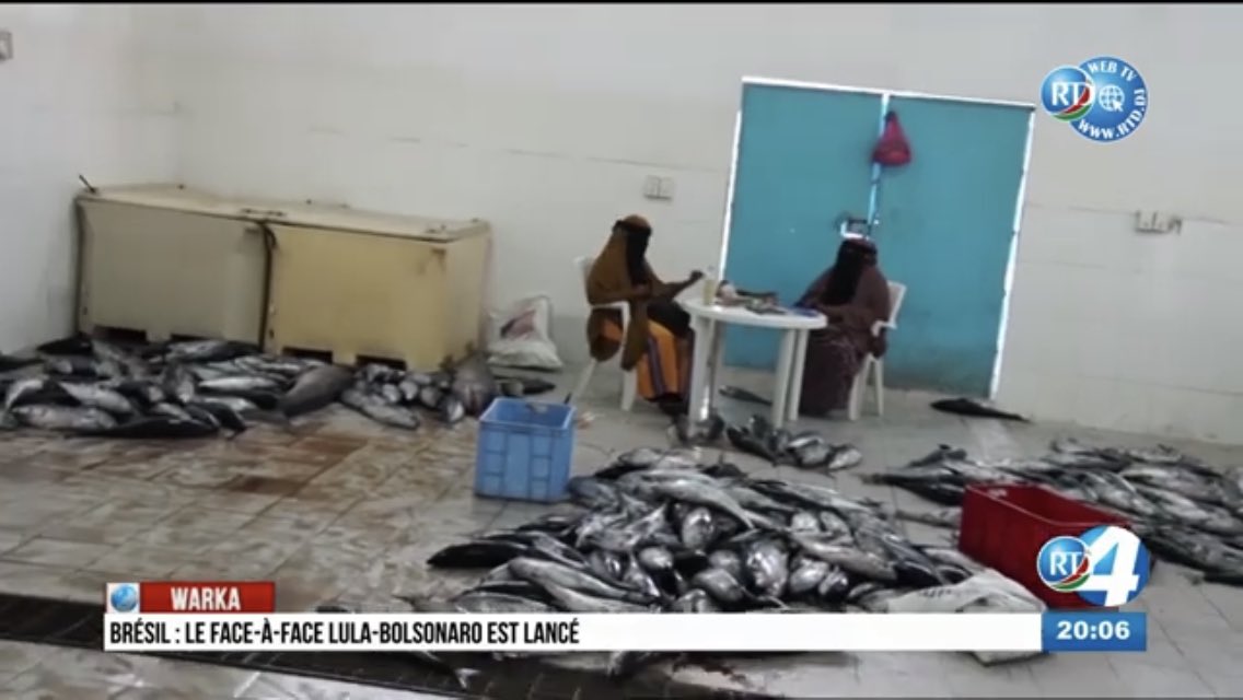Samataroy's tweet photo. #Djibouti
It’s essential for fish 🐠🐟 to be quickly & permanently frozen almost from the time of being caught🎣 to the time it is purchased by the consumer. But due to corruption & looting of all equipment such as #BlastFreezers, #MegaColdStores…our fish end up on the floor⬇️ https://t.co/DQqbmujtSZ