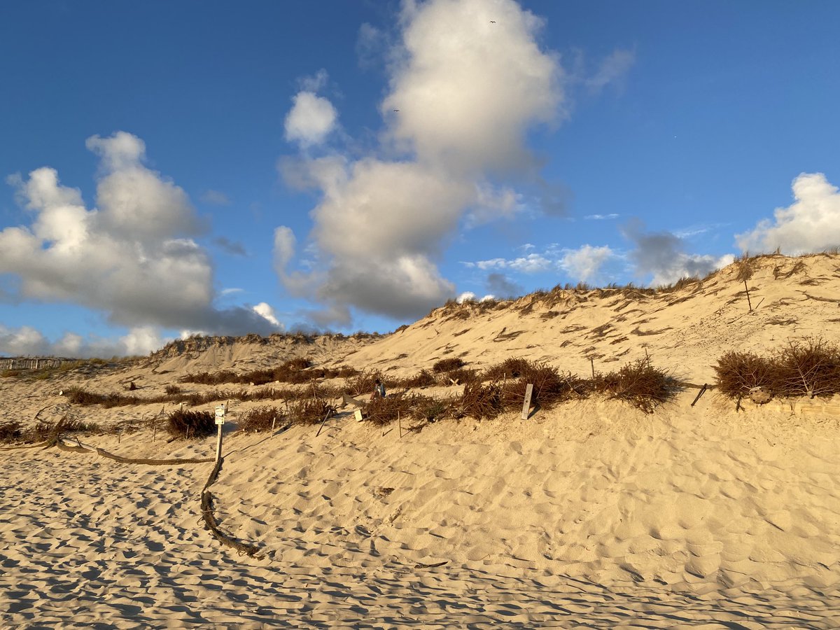 ⁦<a href="/AdrienLarouzee/">❌ Adrien Larouzée</a>⁩ ça fait combien de points, ça ?