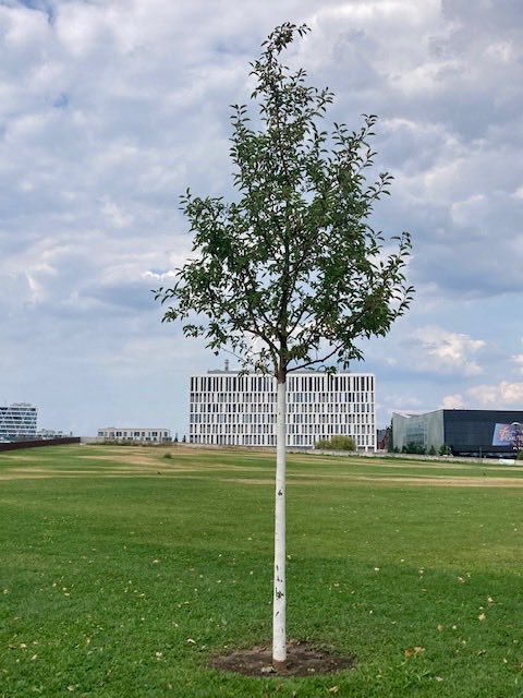 DocuScotland's tweet photo. The day before our exhibition Reflections on a Changing Country opens, #DocumentScotland photographer Stephen McLaren took to the streets of #Berlin to capture the city today.

Join us for the launch at the MEK tomorrow if you are in town. 

https://t.co/SEMEtw3FXU https://t.co/X9nUklFyvd