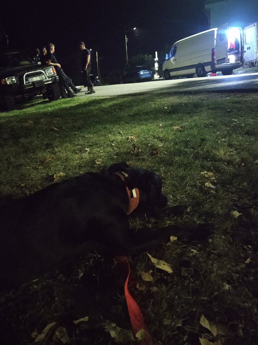 mmarcin's tweet photo. Elvis on mission. #Sardog #SAR #SARmission #resting https://t.co/PFBhWLAPdF