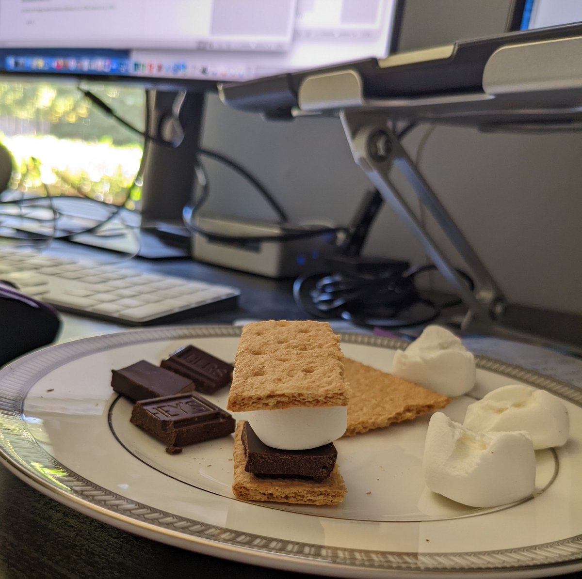 Dr. Sara Jane Webb PhD tweet media