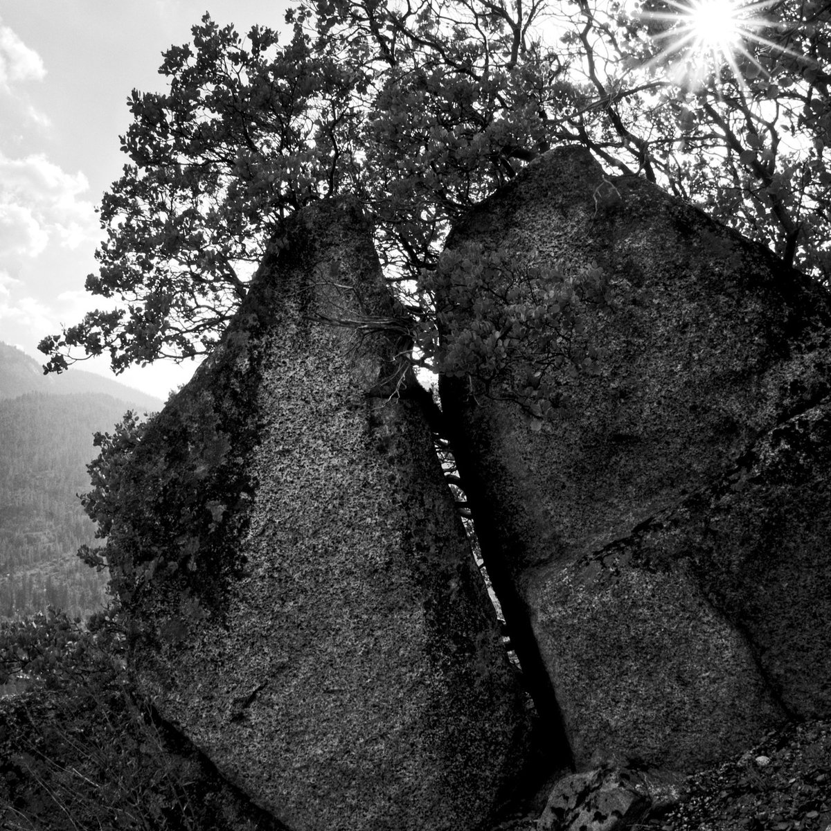 mapbliss's tweet photo. #bw #bnw_legit #loves_bw #bw_amateurs #somewheremgzine #ndmg #negativefb #_bnwart_ #bnw_amateurs #fujifilm #california #westcoast #kingscanyonnationalpark https://t.co/Qz3UdokDjl