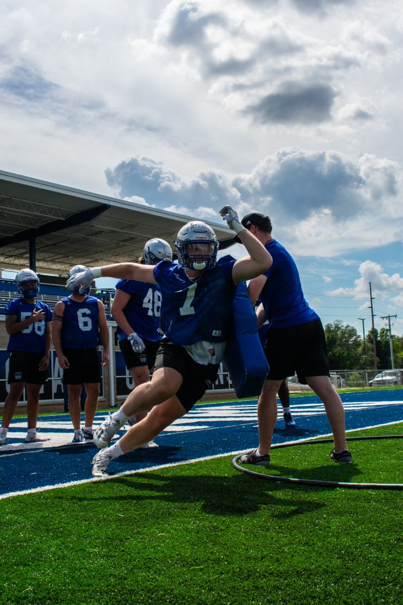 Saint Francis Football tweet media