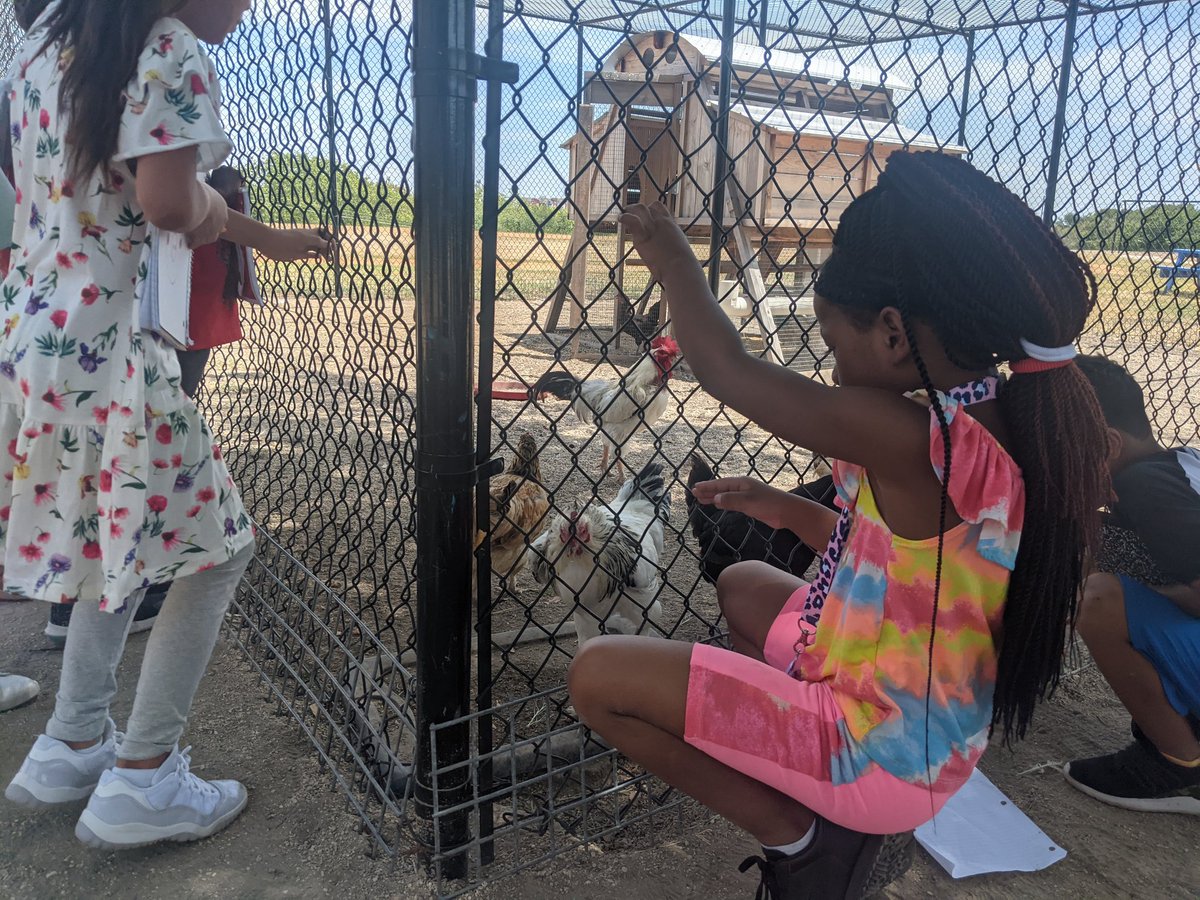 MrsMdoesSTEM's tweet photo. Linder Outdoor Learning in 2nd grade! Our Linder scientists walked our beautiful campus, explored our outdoor learning areas, and recorded their observations to share with their classmates. We are all scientists! https://t.co/B6OAQNKfKD