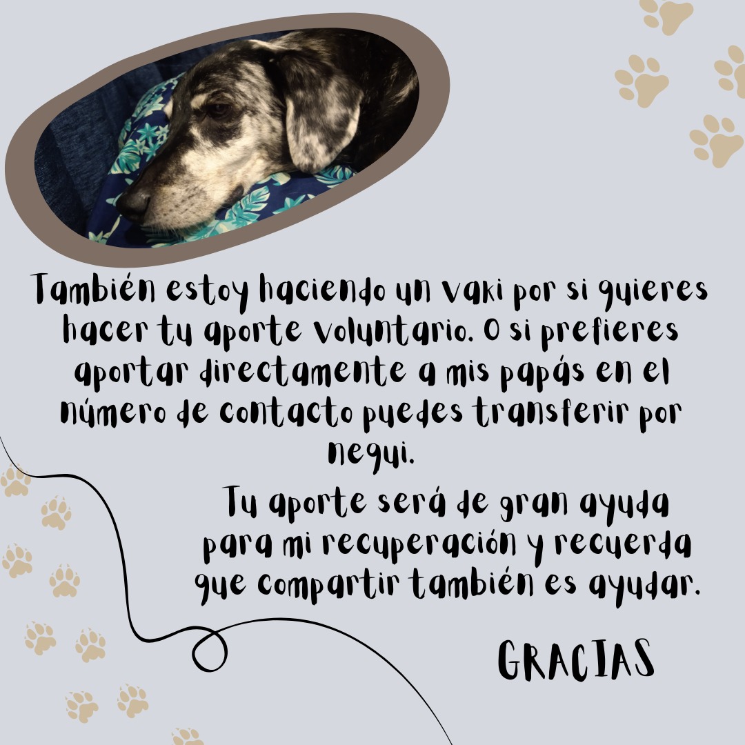 Twitter haz tu magia, se agradece cualquier aporte y retweet
Link de la vaki: vaki.co/es/vaki/ayudac…