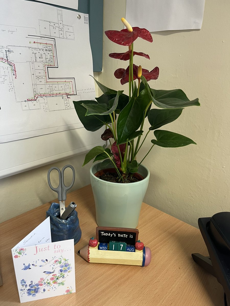 princesssandi07's tweet photo. Thanks @AlisonMunro17 for your kind gift and card - so lovely to see you! Will look forward to catching up next week. #inspiringcolleagues #kindness https://t.co/4DNIuPz474