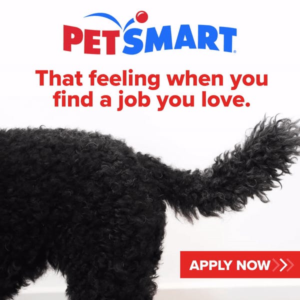 Our Hotels and Salons are hiring new team members in California and PacWest. The hotel and salon offer multiple opportunities to learn and grow in pet services!! . If you or someone you know are interested in an opportunity, feel free to reach out to me KHumphrey@petsmart.com