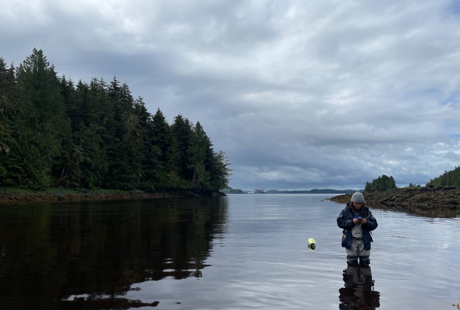 rupertport's tweet image. Due to #EuropeanGreenCrabs invasive nature, PRPA has committed to implementing a monitoring program at 5 distinct sites in which crabs are caught, recorded and released! Note: If you come across an EGC, contact Fisheries and Oceans Canada immediately. #OceanMonitoring