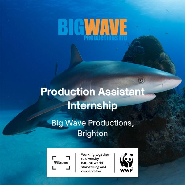 Wildlife Film News tweet media