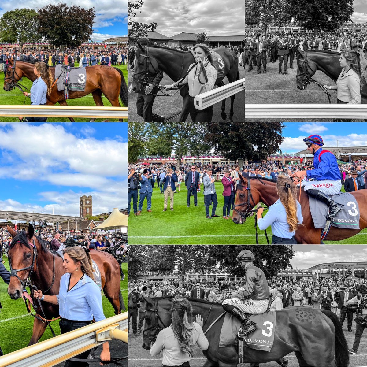 Grant_Some92's tweet photo. Dubai Honour

With his groom Kim, put in a brilliant effort back into Group 1 Company to finish 4th in the Juddmonte International Stakes at York for William Haggas and Tom Marquand https://t.co/WoPDt4JwcZ