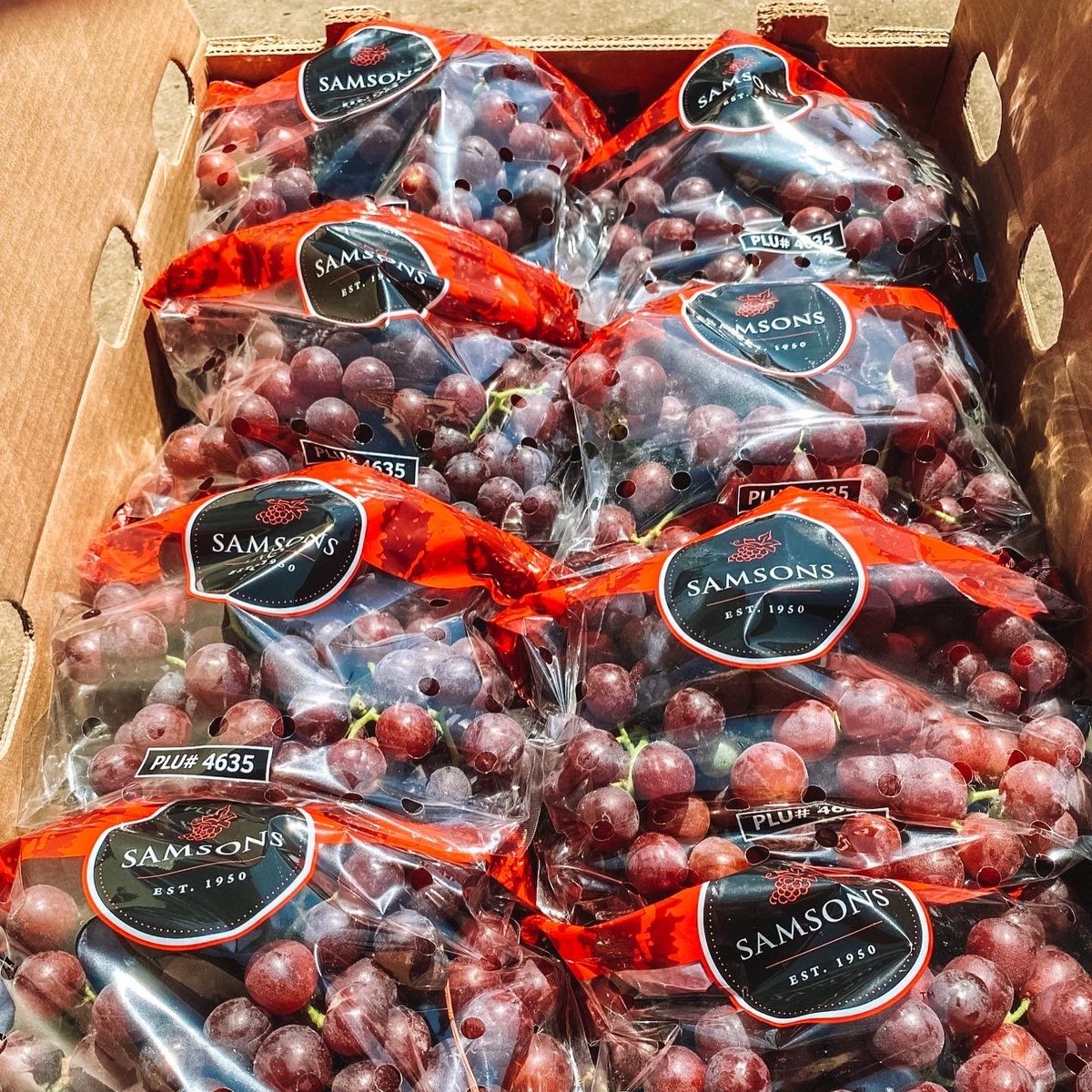 SamsonsGrapes's tweet photo. The secret to our grapes? Care, quality and commitment. Fowler Packing continues to invest into the most advanced, non-invasive farming practices available. https://t.co/jOTa2Mwh1F