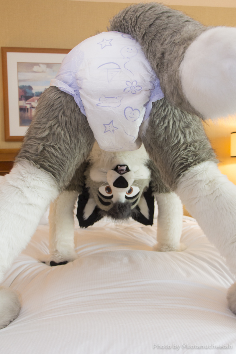 Mercury➡️AO tweet media