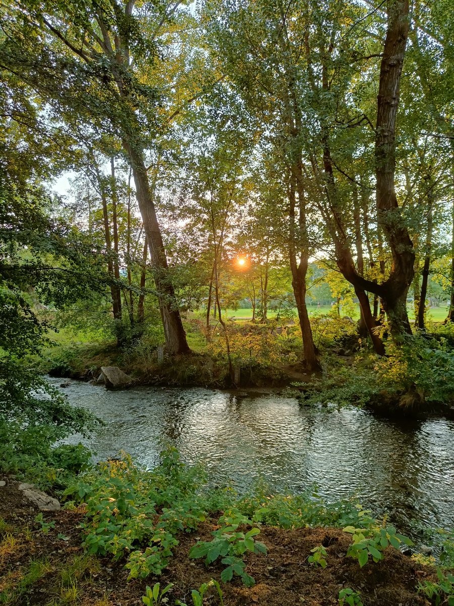 javigartor's tweet photo. 🌿 https://t.co/198mJF9Ame