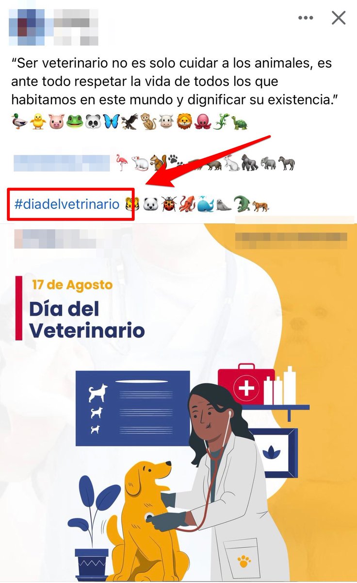 RobertoFGallo's tweet photo. UNA MÁS PARA EL “COMPAÑERE”😂
Feliz día del “VETRINARIO”🤦🏻♂️
PD: Del acento ya ni hablamos, esos ya son caso perdido🤐
#Burro
#Burra
#Burre https://t.co/WhzVZ4KgY2