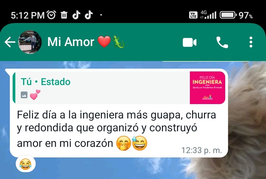 LuisaF_Chaves's tweet photo. -Tu novio te escribe cosas lindas?
-Pues 😂🤣.... https://t.co/J9Xf3aPqUq
