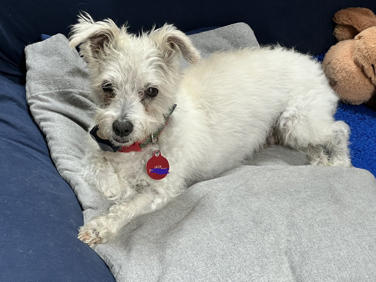 Howard Eskin tweet media