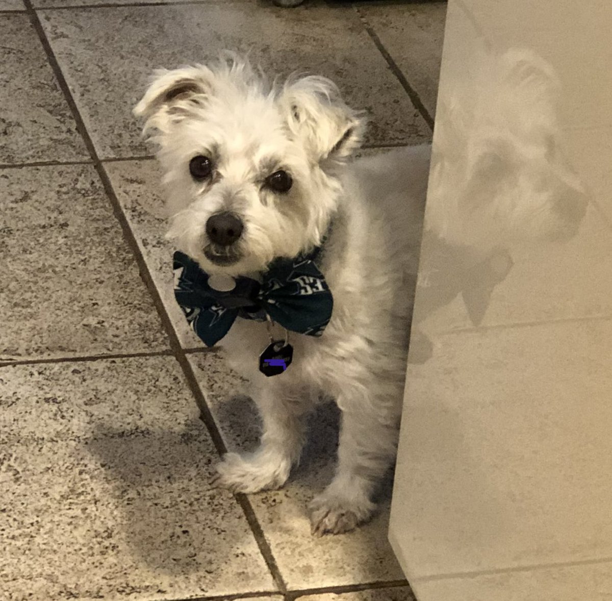 Howard Eskin tweet media