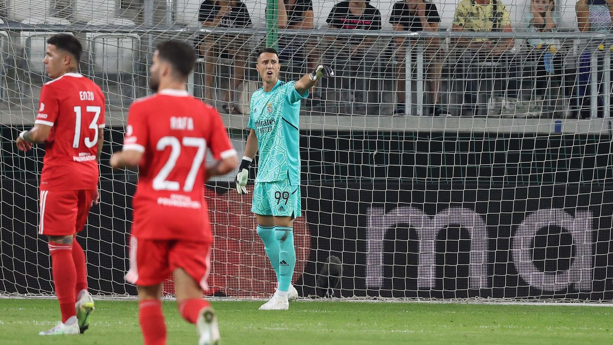 slbenfica_en's tweet photo. 📸 #DynamoSLB

#UCL https://t.co/uumKCq7QjK