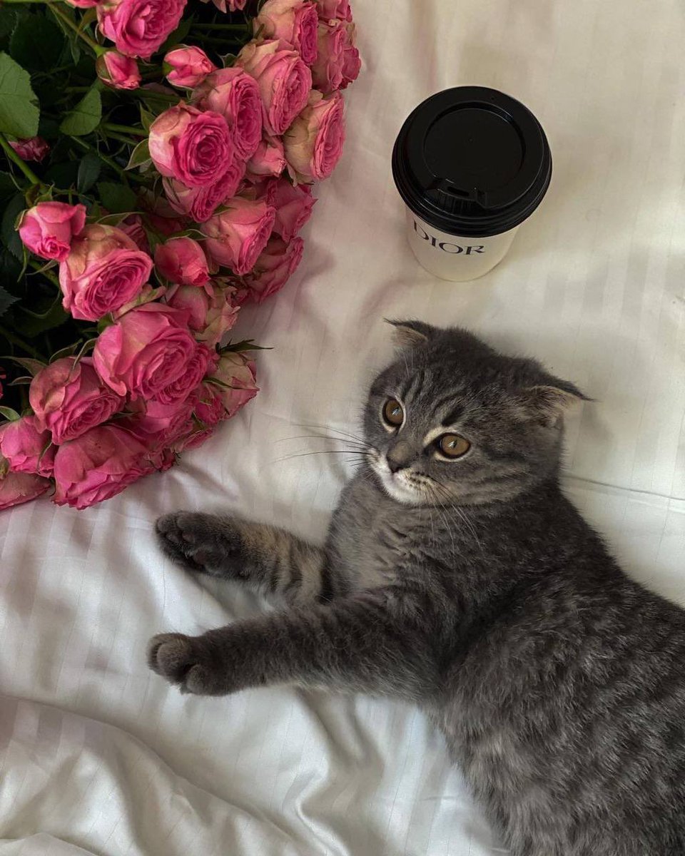 لا تؤذي قلباً لم ترى منه إلا الجميل."