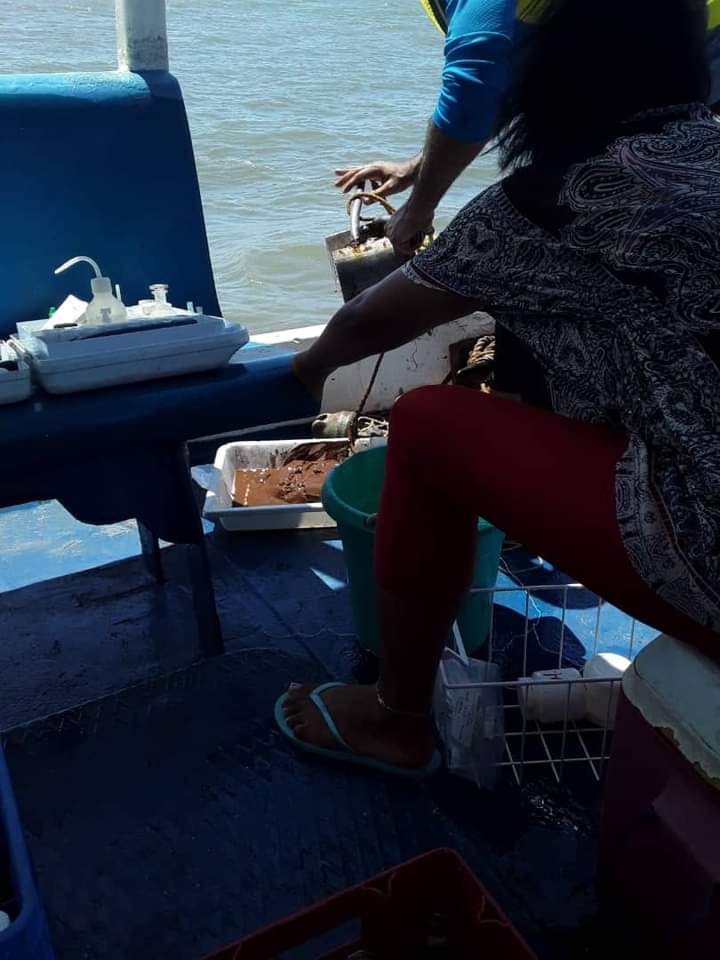 ZunildaParra's tweet photo. Investigadores del #Cimab realizan muestreo en la bahía de Cayo Moa, para la actualización del estado ambiental de sus aguas y sedimentos marinos, así como conocer el estado sanitario de sus playas.
#MedioAmbiente
@OCitma
@citmacuba https://t.co/lXgnqy9tER