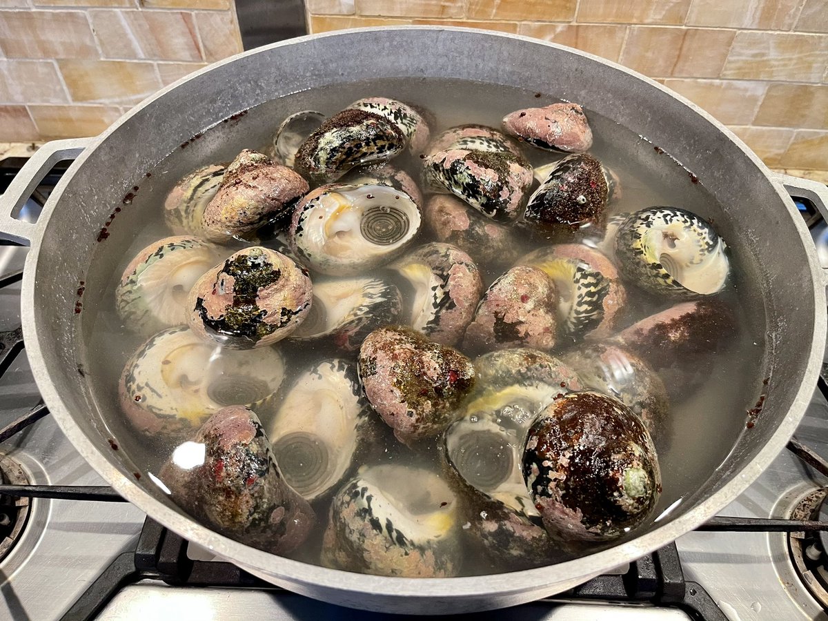 markbrantley3's tweet photo. Supporting our local fishermen in #Nevis. Fresh #whelks caught today #MenCanCook https://t.co/pmflP5HuK0