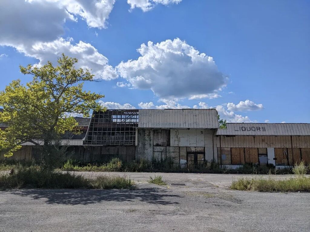 The Whispering Tree tweet media